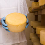 Caseificio San Nicola: quattro generazioni di passione e tradizione